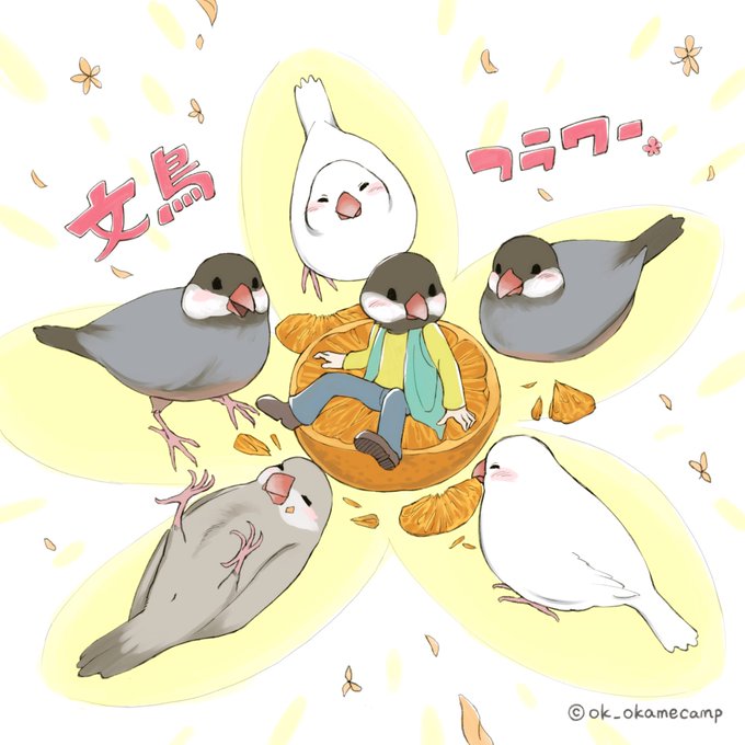 文鳥イラストのtwitterイラスト検索結果 古い順 文鳥イラストのtwitterイラスト検索結果 古い順