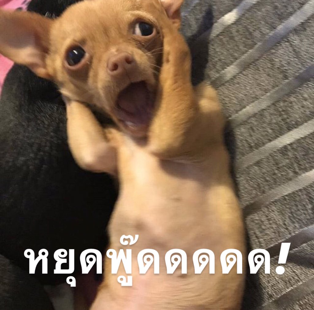 custardexx's tweet photo. ขอล้องเลยนะ อย่ามาละแมะและอะหรือใส่พ้มมมม https://t.co/zOo7xqHufn