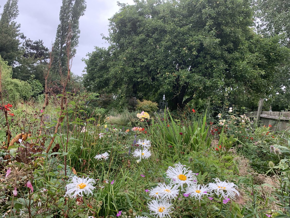 papaver's tweet photo. Taking a coffee break mid chores - it feels like itβs going to go rain. #viewfromthebench #mygarden #garden https://t.co/EoQhiL3fFt