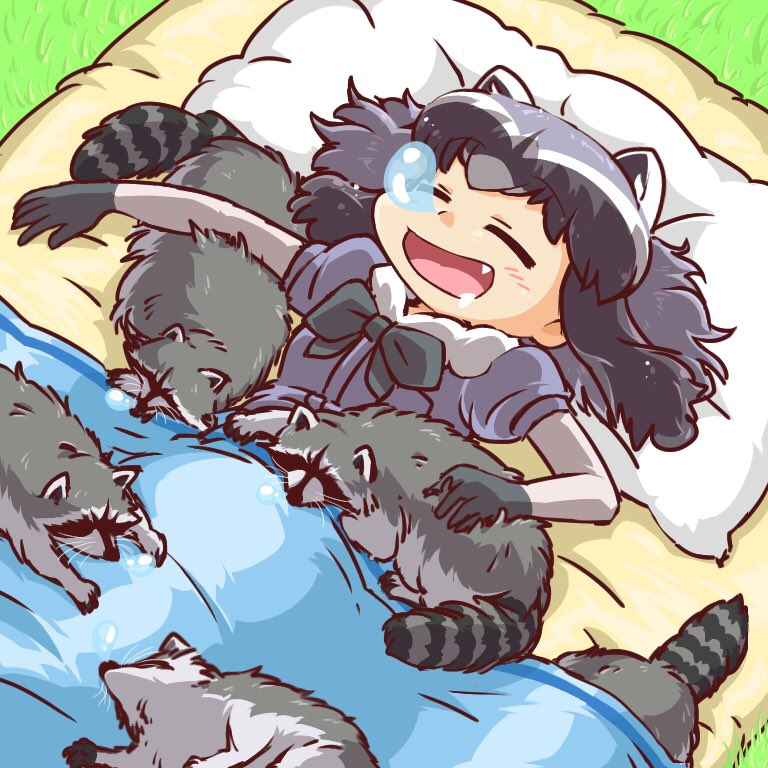 アライグマ(けものフレンズ) 「野っ原にふとん敷いて寝るの気持ちいいのだ~(๑╹ω╹๑ ) 」|海風しゅう@アライグマグッズ制作中のイラスト