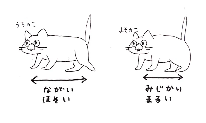 Twitterや近所でよそのこを見るたび、マイラブは1.5倍くらい胴長いなって思っちゃう 