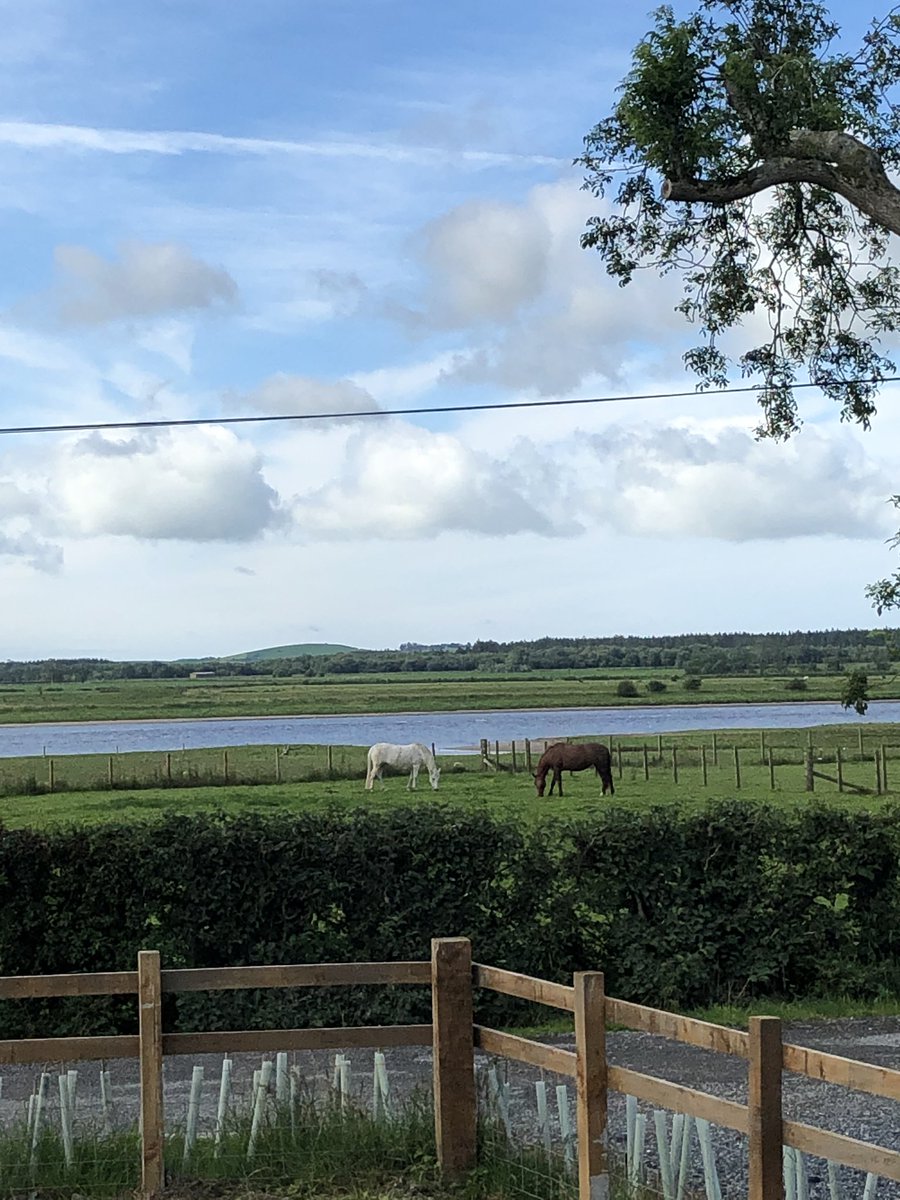 CarolineJRob's tweet photo. Change of view for the next few days in beautiful @VisitSWScotland in @VisitScotland with @GoRuralScotland 🏠☀️#staycation #take5fortourism #hametowntourist #scottishagritourism https://t.co/i5FwE4oR8Y