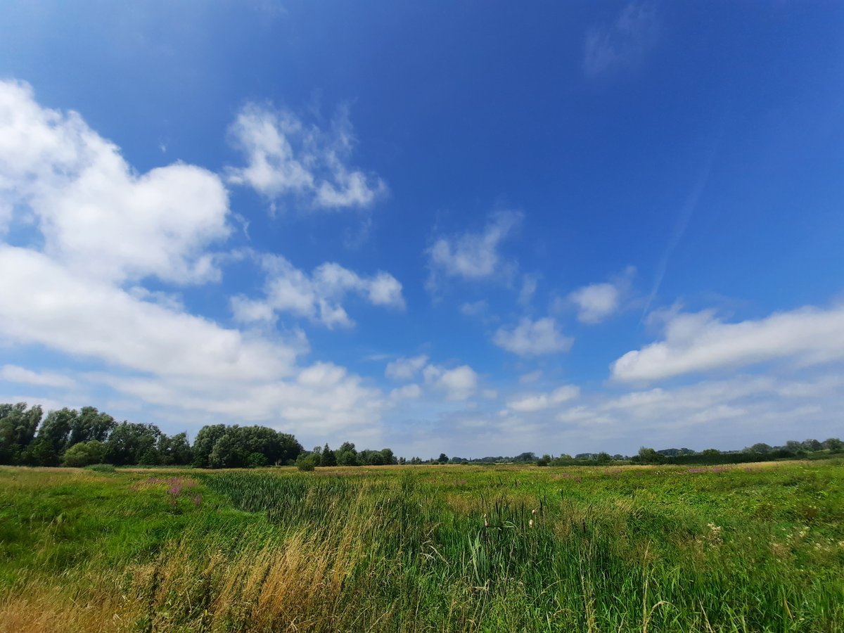 vanassche_ann's tweet photo. #vrtweer #Gent #12u08 https://t.co/uVyluvTx8i
