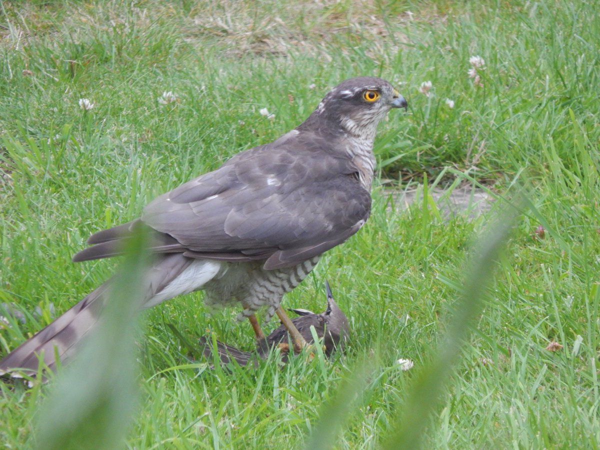 Matthew Collins 🏴󠁧󠁢󠁷󠁬󠁳󠁿 tweet media