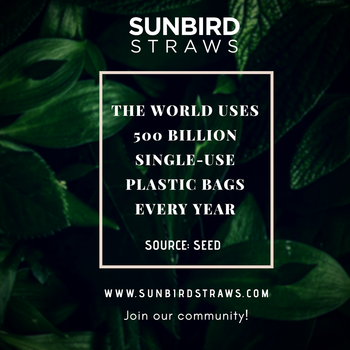 #biodegradable #coconuttleafstraws #drinkingstraws #ecofriendly #ecofriendlymaterials #ecofriendlyproducts #environmentallyfriendly #sustainability #circulareconomy #ruralemployment #womenempowerment #saveoceans