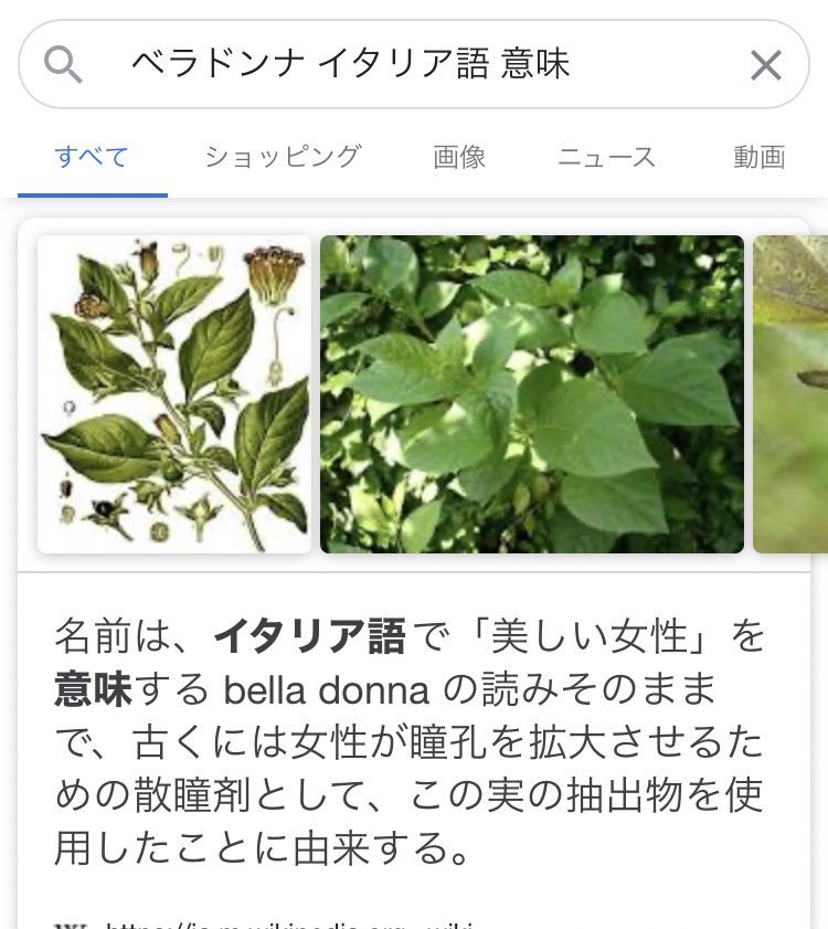 虎純 イタリア語のbella Donna ベラドンナ意味 美しい人 語源が毒草ベラドンナから来てて 戦慄した 二重の意味をかけての レディベラ だったのか そしてマジで死に至る毒草なのね