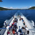 Photo by Gatherall's Boat Tours (@Gatheralls)