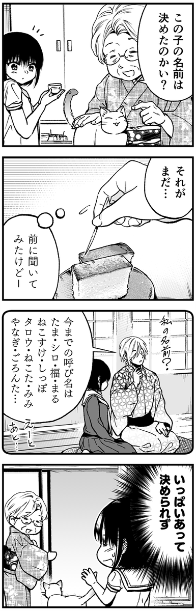 女子中学生とかわいいオス猫の話【1/4】 