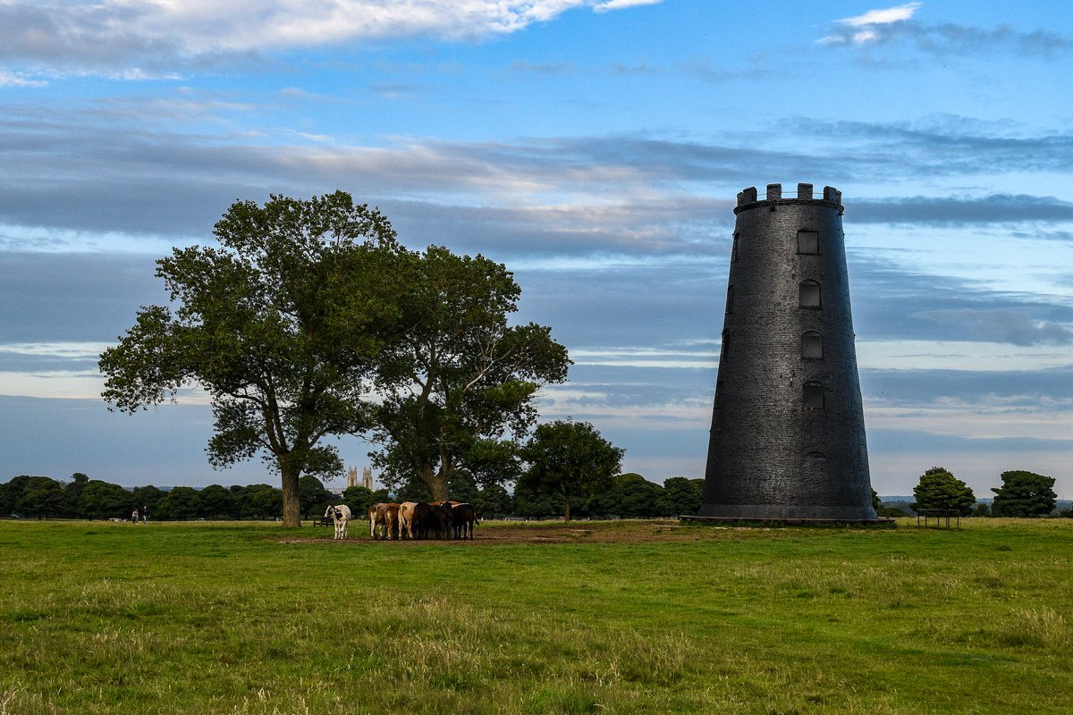 BellsaPhotogra1's tweet photo. Beverley ❤️ East Riding of Yorkshire. #beverley #westwood #windmill #minster #eastyorkshire #landscapephotography #countryside #sunset https://t.co/2T0OoE6Y8A