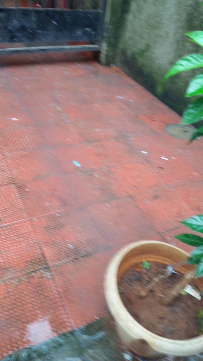 PayalReshamdala's tweet photo. Sir @PrashantNGaikwd @mybmcWardD sewage line is fully chock up toilet coming out from gutter between prime view and neighboring building of khetwadi 8th lane opp r k building 
@MCGM_BMC @mybmcPHD urgent action required @mayor_mumbai @mybmcSWD dengue malaria threats, pl send team. https://t.co/dUaKKZfZnS