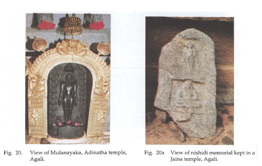 Similarly Jain vestiges found in Hemavati , tudpatri , tograkunta , agaki & few other places in anantapur a district Therefore anantapur district is replate with the rich jainhistory & archeological evidence like other districts of Andhra & Telangana, which should b safeguarded