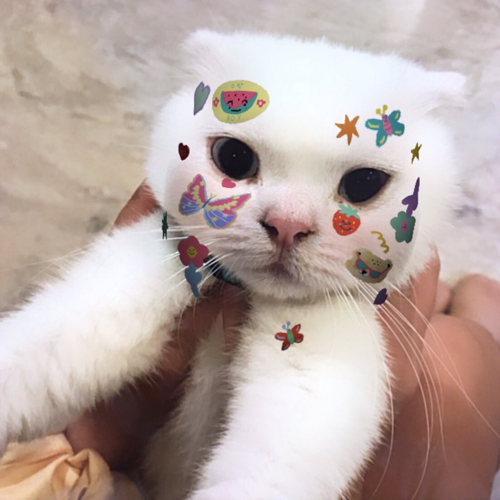 เล่นฟิลเตอร์ไอจีได้ไงเนี่ย5555555555555555