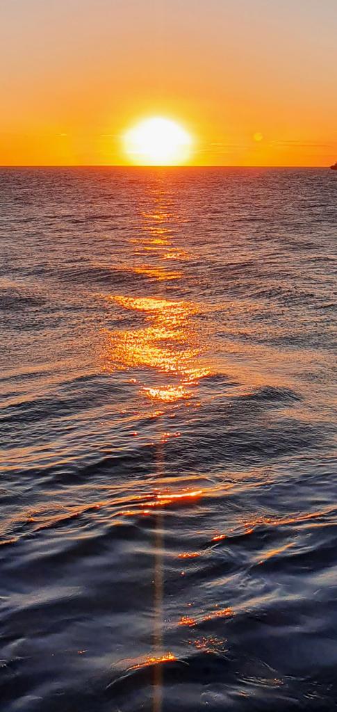 SeanEll51607588's tweet photo. Nice sunrise this morning https://t.co/NmHQcX7aQV