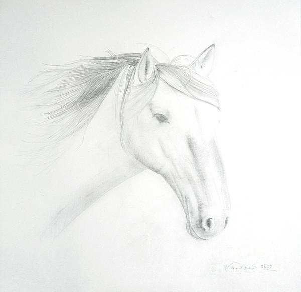 WilliamLewisJr8's tweet photo. New artwork for sale! - "A Creature of Beauty" - https://t.co/A9kTqvYur4 @fineartamerica https://t.co/6MQKFEXWD9