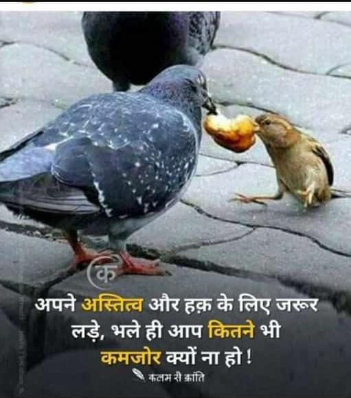 GujFor's tweet photo. #stopprivatisationMVD 
We will fight, we will WIN https://t.co/yDIDI9cFgX