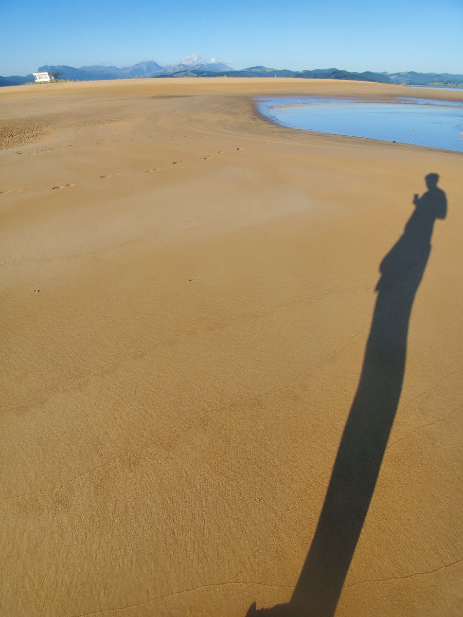 mitokondriac's tweet image. Eres una antena que conecta el SOL con la tierra.
Cuantos más fotones hagas circular más conectado a la vida vas a estar.