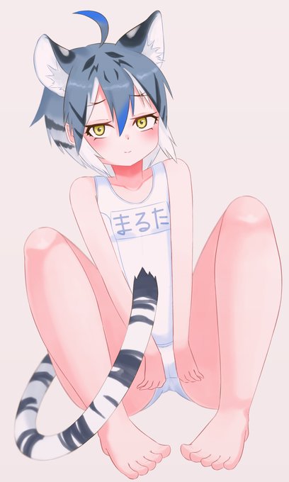 マルタタイガー 