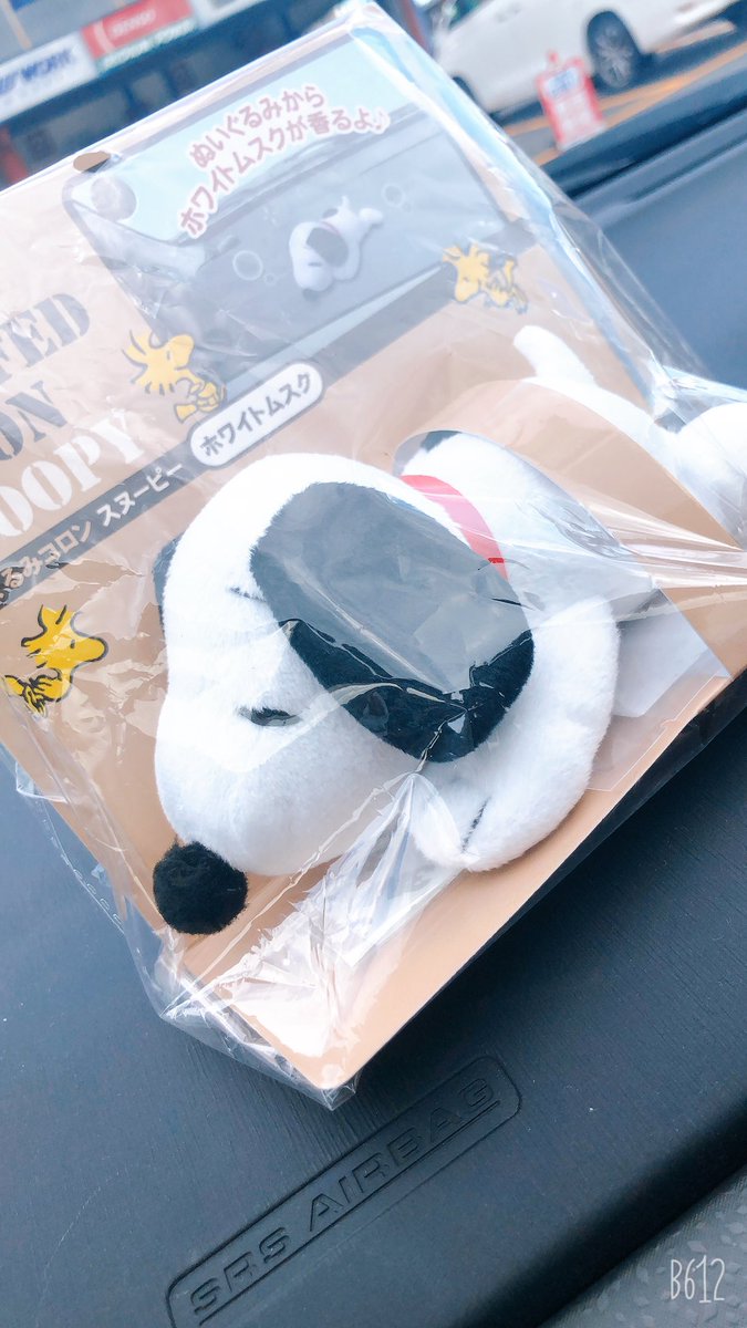 Peanuts あーちゃん あーちゃんの車じゃないからダメかもしれないですよ 笑