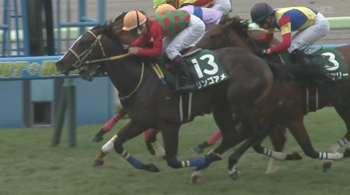 Jra Fun 函館2歳ステークス Giii を優勝したのは リンゴアメ 現2歳世代にとって最初のjra重賞を制す とっても可愛い名前だよね おめでとう うまび 函館2歳ステークス T Co Cet3dbanpl Twitter