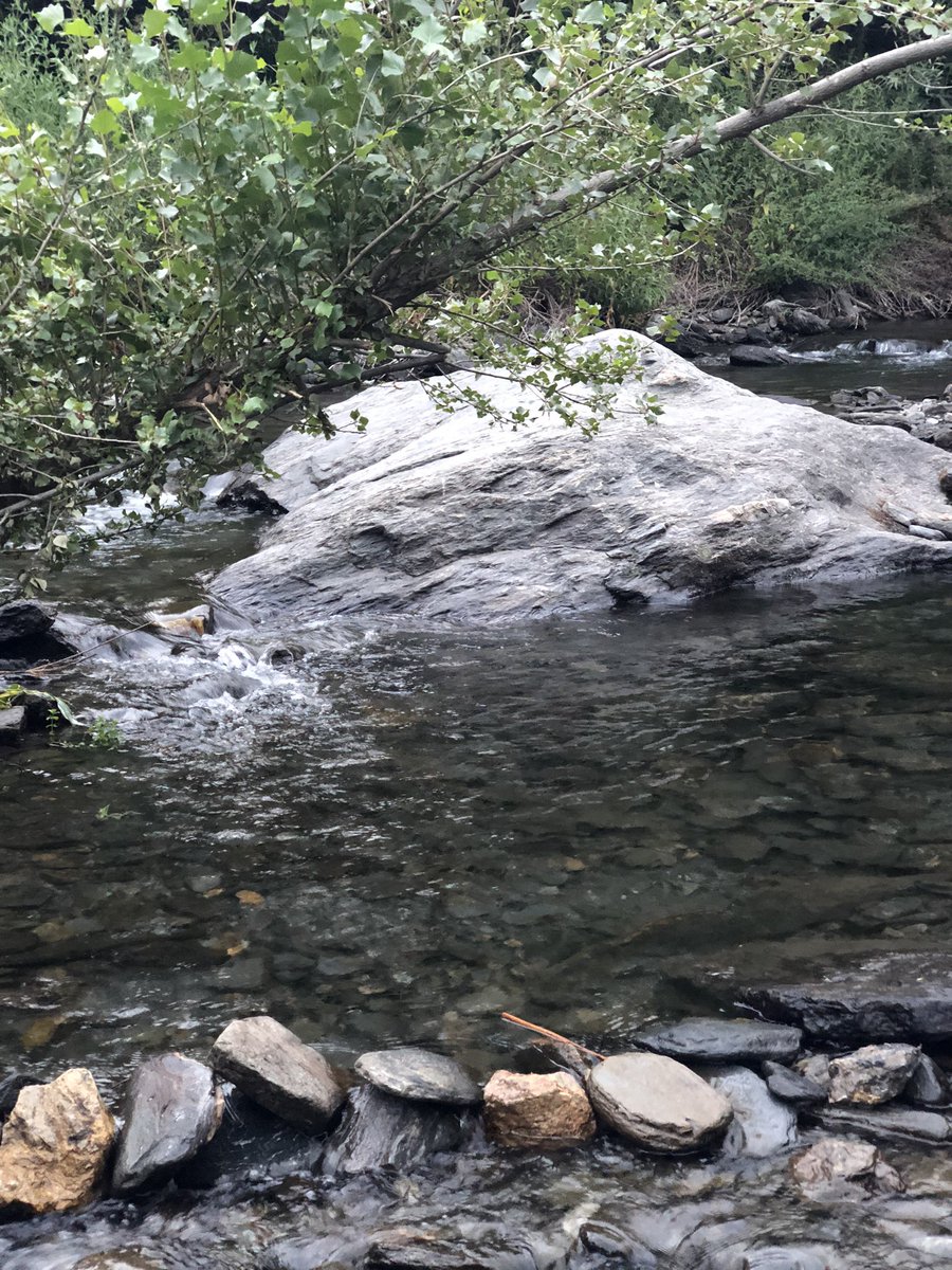JuanAguilarT's tweet photo. La Naturaleza nos regala vida. Cuidemos #MedioAmbiente #Trevélez #Andalucía #Descanser #ValienteRevoluciónCultural #SentirEsperanza @Educaclima https://t.co/HTnDKHfChB