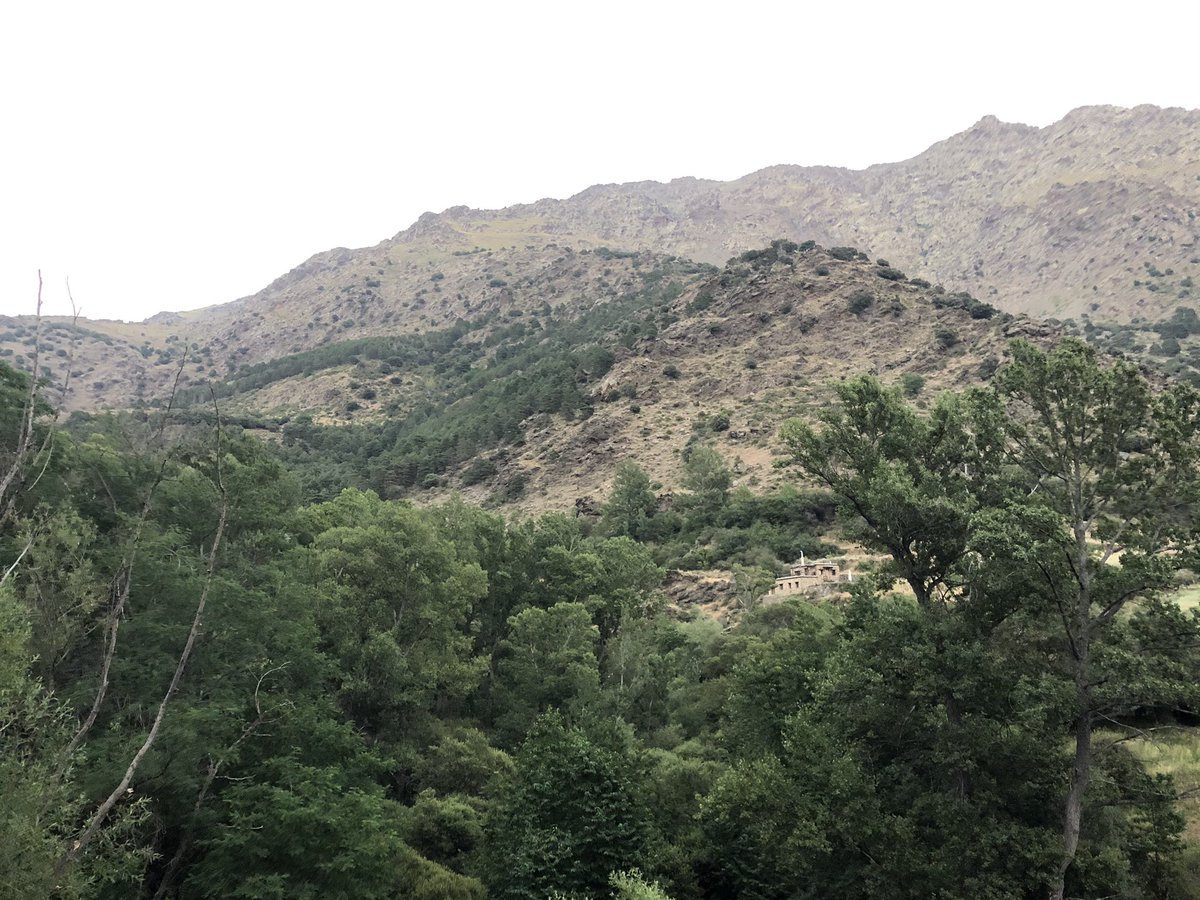 JuanAguilarT's tweet photo. La Naturaleza nos regala vida. Cuidemos #MedioAmbiente #Trevélez #Andalucía #Descanser #ValienteRevoluciónCultural #SentirEsperanza @Educaclima https://t.co/HTnDKHfChB