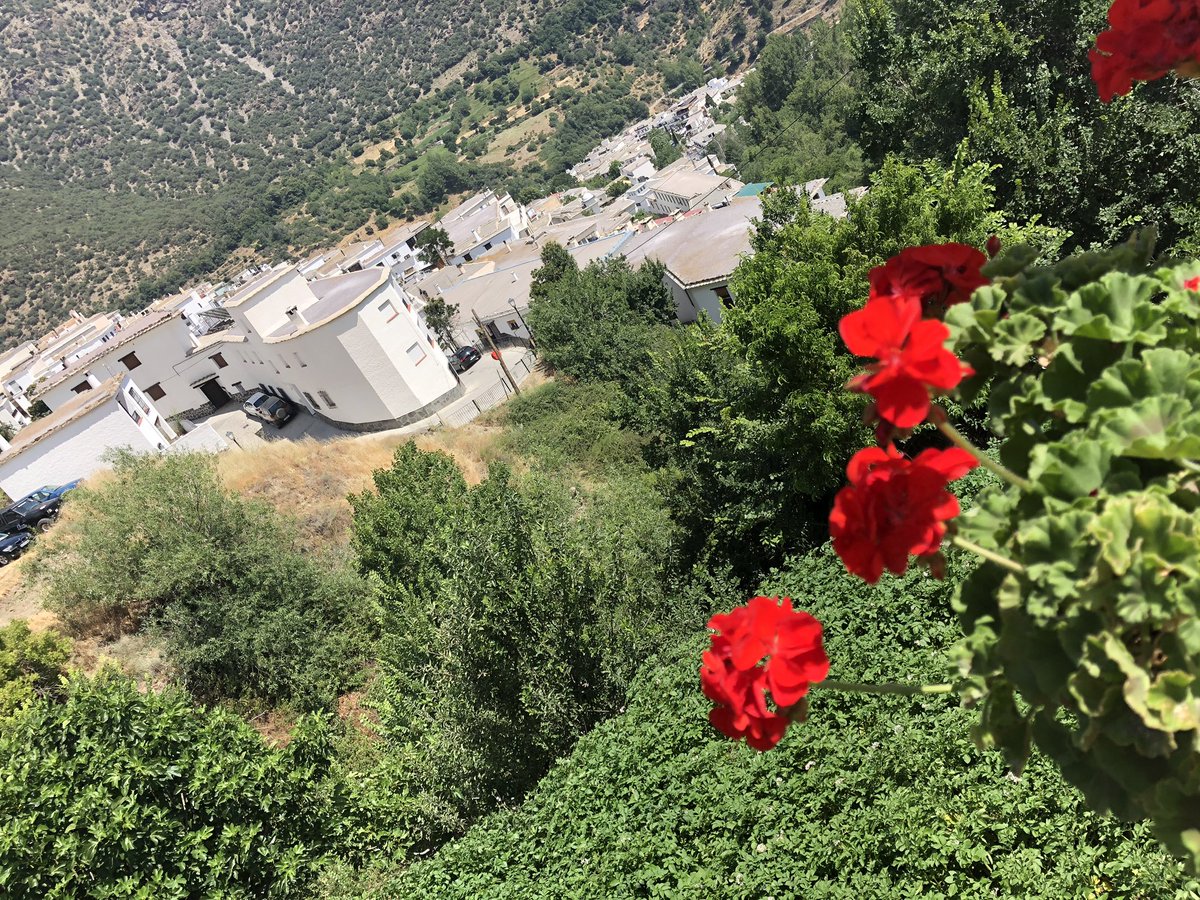 JuanAguilarT's tweet photo. La Naturaleza nos regala vida. Cuidemos #MedioAmbiente #Trevélez #Andalucía #Descanser #ValienteRevoluciónCultural #SentirEsperanza @Educaclima https://t.co/HTnDKHfChB