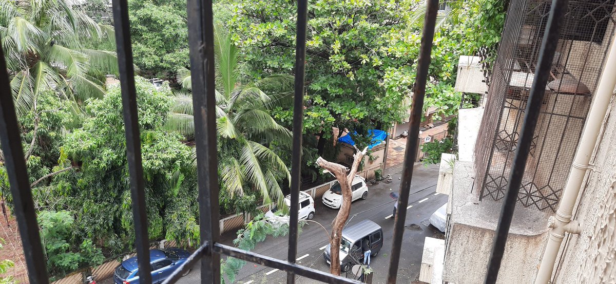 SanjayKT18's tweet photo. @mybmc @mybmcwardKW Permission given by you to the Management. Is this permission for #Trimming OR #Axeing the Tree totally from above. Who is going to inspect? Kindly look into the matter & take necessary action if required to stop further destruction of Mother Nature. https://t.co/smDMbu5msb