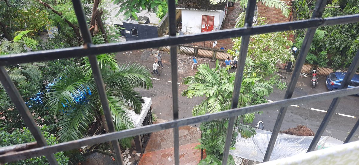 SanjayKT18's tweet photo. @mybmc @mybmcwardKW Permission given by you to the Management. Is this permission for #Trimming OR #Axeing the Tree totally from above. Who is going to inspect? Kindly look into the matter & take necessary action if required to stop further destruction of Mother Nature. https://t.co/smDMbu5msb