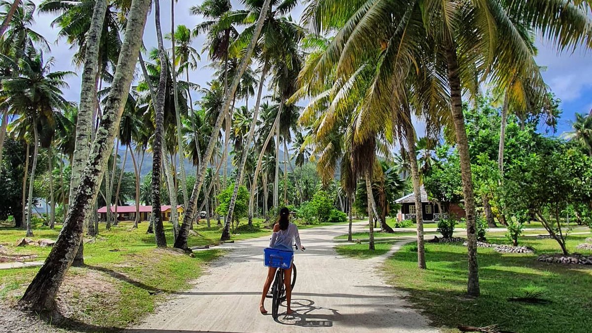 The Seychelles Islands tweet media