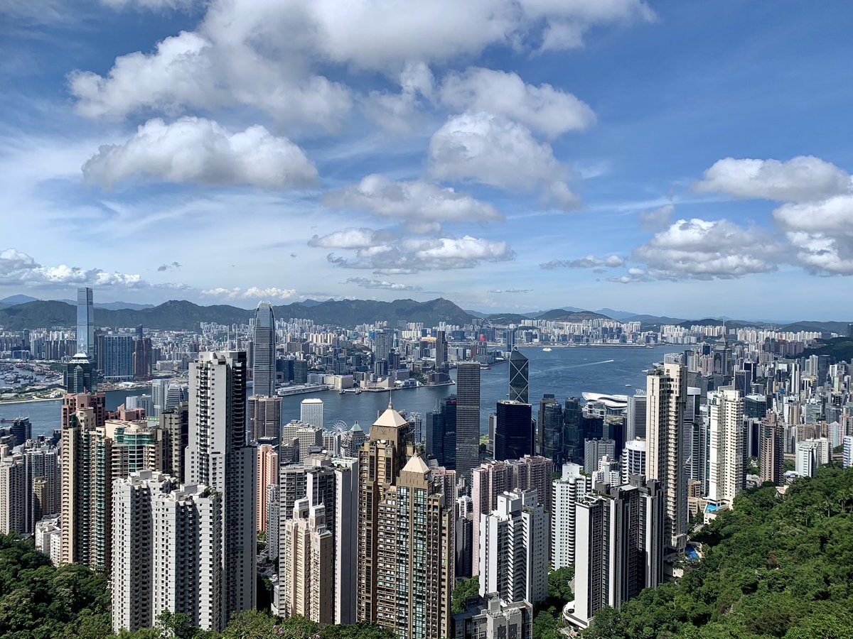 I really fucking love Hong Kong