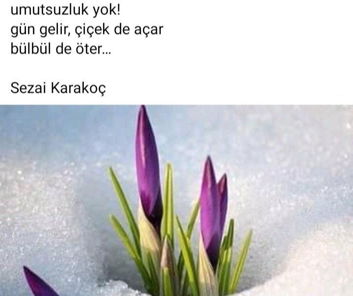 SalihACA11's tweet photo. Selam olsun tüm Dostlara 
Cumartesi sabahından huzurlu 
Keyifli bir hafta sonu Diliyorum 
,,,,,,,,,,,,,,,,,,,,,,#GÜNAYDIN,,,,,,,,,,,,,,,,,,,,
🇹🇷❤🇹🇷❤🇹🇷❤🇹🇷❤🇹🇷❤🇹🇷❤
❤🇹🇷❤🇹🇷❤🇹🇷❤🇹🇷❤🇹🇷❤🇹🇷
🎇🎇🎇🎇🎇🎇🎇🎇🎇🎇🎇🎇
🇹🇷🇹🇷🇹🇷🇹🇷🇹🇷🇹🇷🇹🇷🇹🇷🇹🇷🇹🇷🇹🇷🇹🇷 https://t.co/4DUGpQJH6K