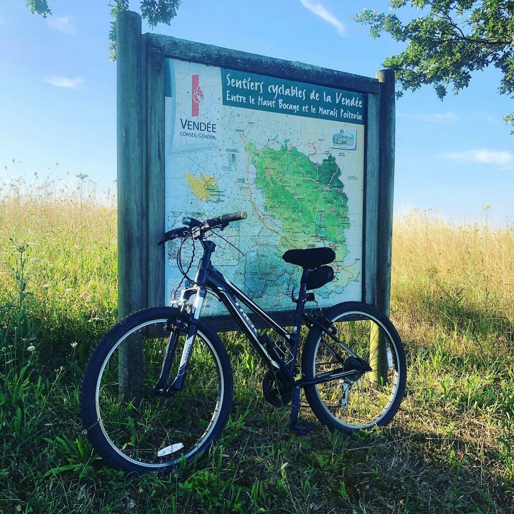 ChateauLeRetail's tweet photo. #vendeevelo #notraffic #postcovid19 #stillspace #booknow #sweating https://t.co/ixDieECWsz https://t.co/iVGo5B97jD