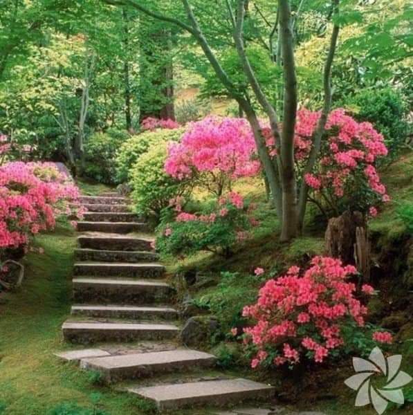 SalihACA11's tweet photo. Selam olsun tüm Dostlara 
Cumartesi sabahından huzurlu 
Keyifli bir hafta sonu Diliyorum 
,,,,,,,,,,,,,,,,,,,,,,#GÜNAYDIN,,,,,,,,,,,,,,,,,,,,
🇹🇷❤🇹🇷❤🇹🇷❤🇹🇷❤🇹🇷❤🇹🇷❤
❤🇹🇷❤🇹🇷❤🇹🇷❤🇹🇷❤🇹🇷❤🇹🇷
🎇🎇🎇🎇🎇🎇🎇🎇🎇🎇🎇🎇
🇹🇷🇹🇷🇹🇷🇹🇷🇹🇷🇹🇷🇹🇷🇹🇷🇹🇷🇹🇷🇹🇷🇹🇷 https://t.co/4DUGpQJH6K