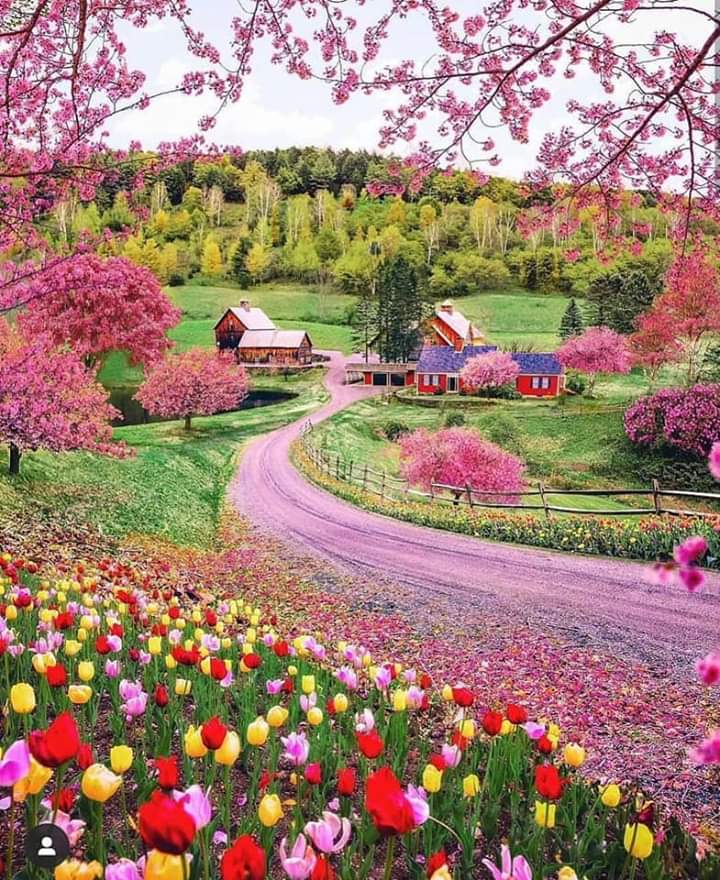 SalihACA11's tweet photo. Selam olsun tüm Dostlara 
Cumartesi sabahından huzurlu 
Keyifli bir hafta sonu Diliyorum 
,,,,,,,,,,,,,,,,,,,,,,#GÜNAYDIN,,,,,,,,,,,,,,,,,,,,
🇹🇷❤🇹🇷❤🇹🇷❤🇹🇷❤🇹🇷❤🇹🇷❤
❤🇹🇷❤🇹🇷❤🇹🇷❤🇹🇷❤🇹🇷❤🇹🇷
🎇🎇🎇🎇🎇🎇🎇🎇🎇🎇🎇🎇
🇹🇷🇹🇷🇹🇷🇹🇷🇹🇷🇹🇷🇹🇷🇹🇷🇹🇷🇹🇷🇹🇷🇹🇷 https://t.co/4DUGpQJH6K