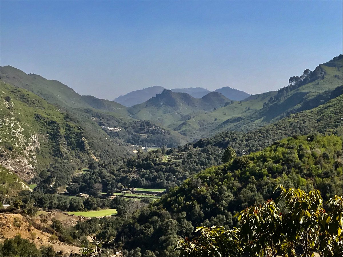 Seventh, the Margalla Hills. In the heat of summer and the cool of autumn, our fondest memories will be of the hikes, picnics and swimming trips. The hills truly make Islamabad one of the greenest, most beautiful cities in the world. (And the kids loved the monkeys!) 