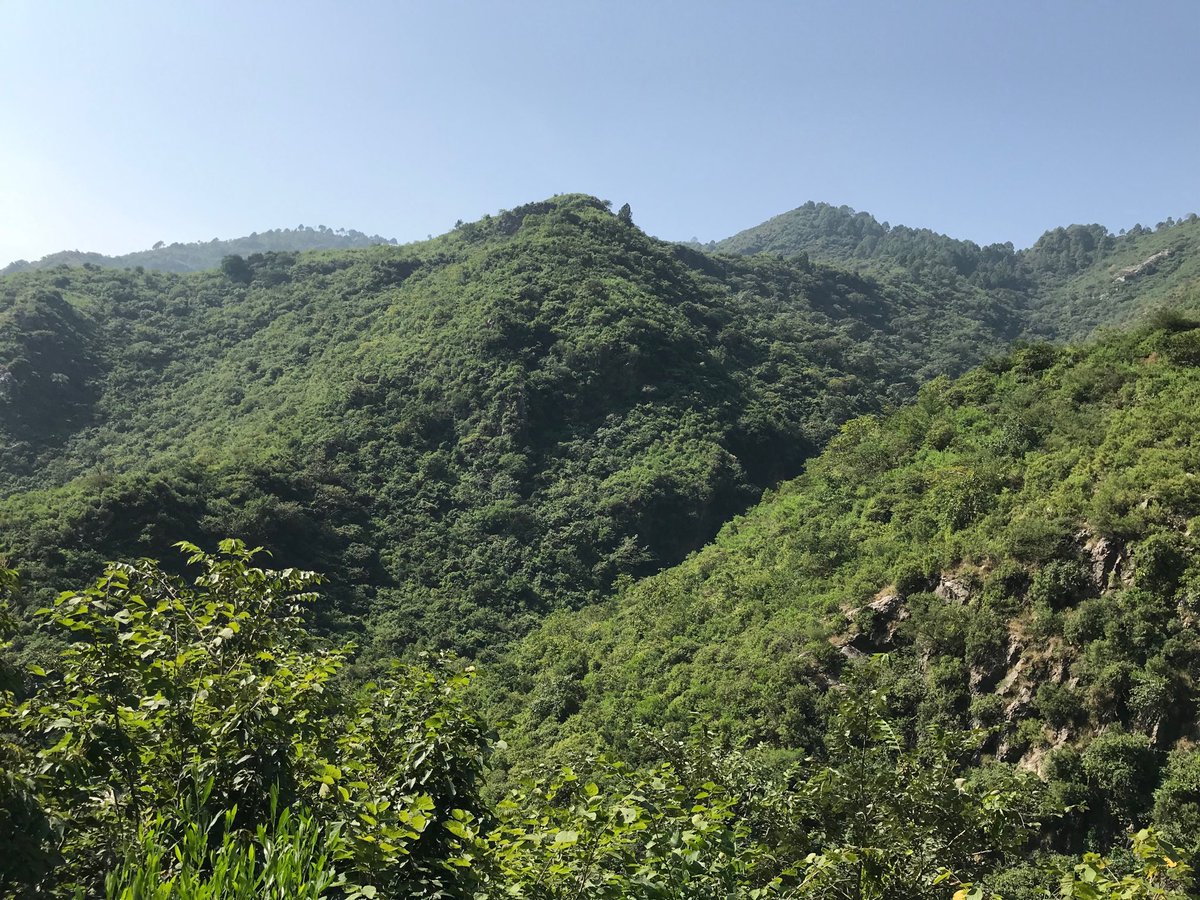 Seventh, the Margalla Hills. In the heat of summer and the cool of autumn, our fondest memories will be of the hikes, picnics and swimming trips. The hills truly make Islamabad one of the greenest, most beautiful cities in the world. (And the kids loved the monkeys!) 