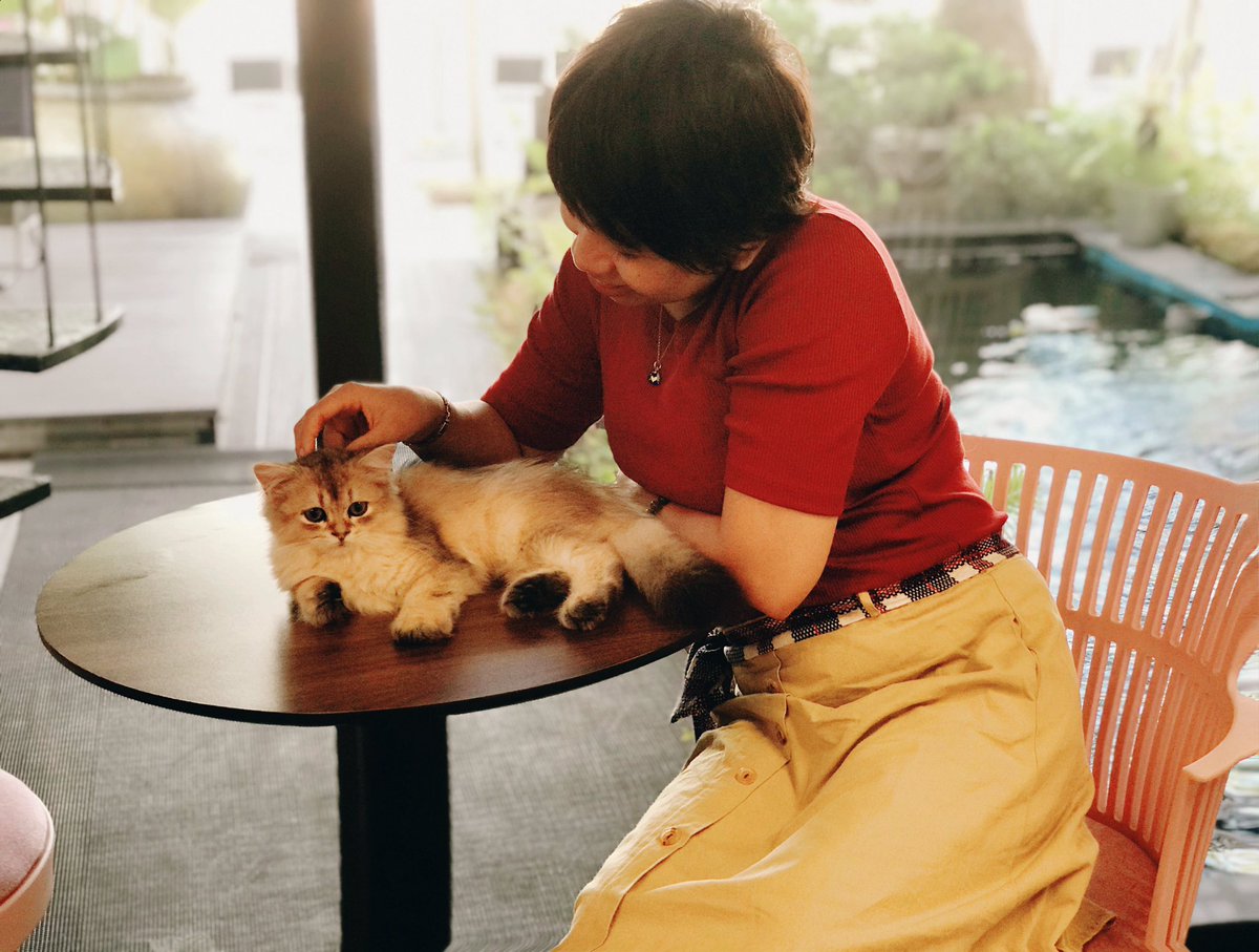 in_danang's tweet photo. ダナンのニャン子カフェ。ネゴ好きというわけでもないが、カワイイと感じてしまいました。場所は 5 Le Van Duyet.オーナーが韓国の方かな。
にゃん〜😽
#ダナンスタイル #ダナン情報 #ダナン生活 #猫カフェ #ニャンコ #mmindanang #mmblog https://t.co/hSylqo34kT