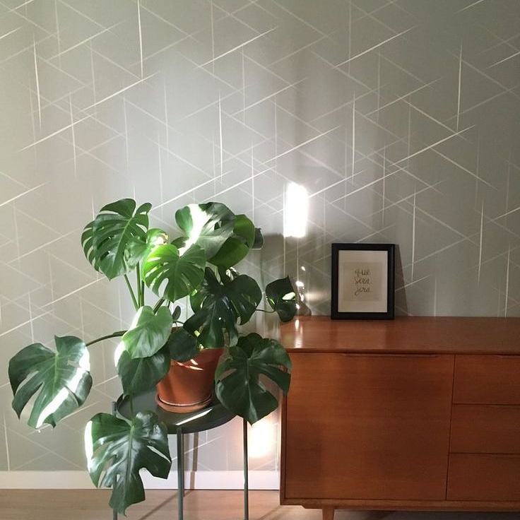 interiors_ridge's tweet photo. Nothing is stopping you from having your dream home.
We offer wallpaper installation services.
Hit us up
☎️☎️☎️ 
0706868148
#10over10 #countrymusic #COVID19KE #kunalkamra https://t.co/SW2PSuuqc3