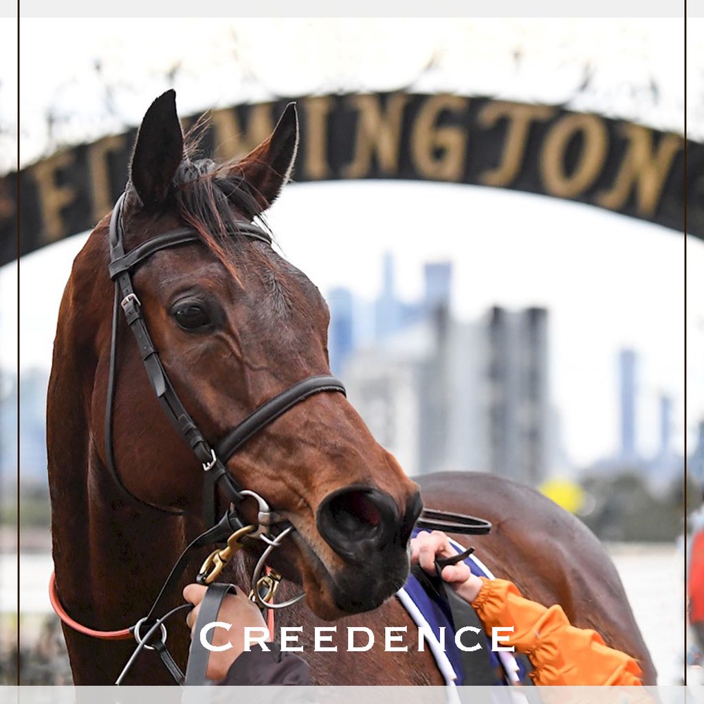 CumaniRacing's tweet photo. Creedence 💫
(Helmet x Boracay)
Takes a second win at headquarters in 6 weeks.
Brilliant ride by @MichaelPoy2 to take out the BM78 2000m @FlemingtonVRC
Happy Retirement Pat Hyland 🥂🍾
Congratulations to all his connections!
.
#trainingwinners https://t.co/VuBz6y1ymi
