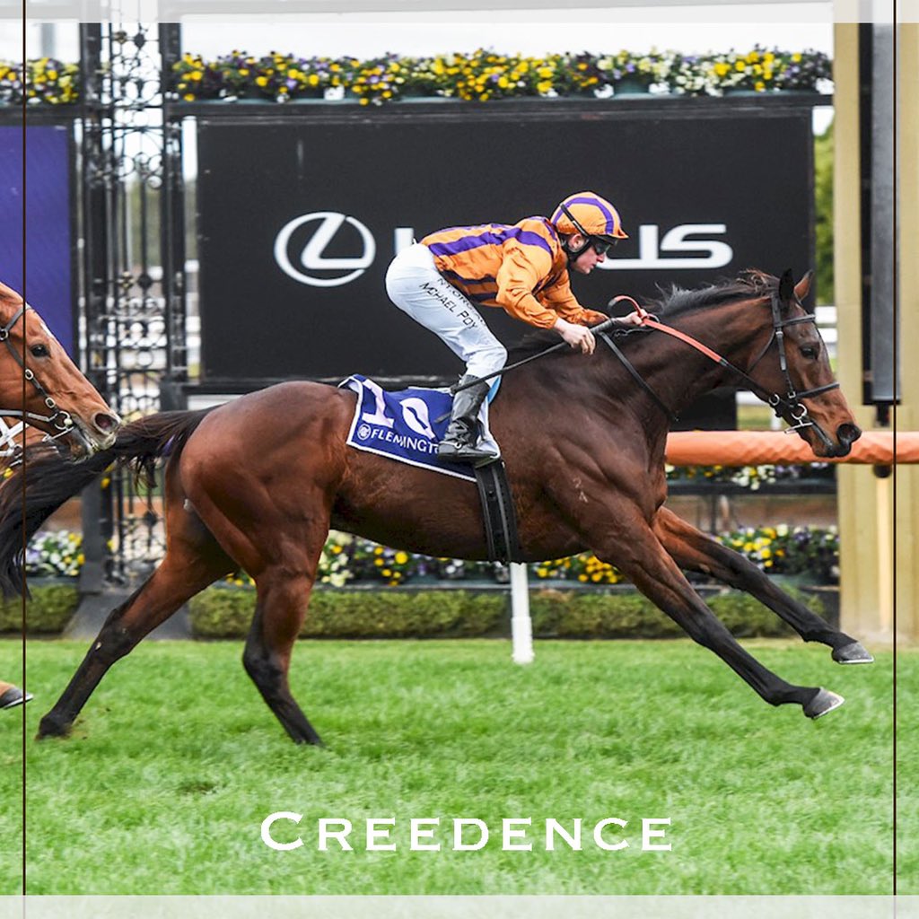 CumaniRacing's tweet photo. Creedence 💫
(Helmet x Boracay)
Takes a second win at headquarters in 6 weeks.
Brilliant ride by @MichaelPoy2 to take out the BM78 2000m @FlemingtonVRC
Happy Retirement Pat Hyland 🥂🍾
Congratulations to all his connections!
.
#trainingwinners https://t.co/VuBz6y1ymi