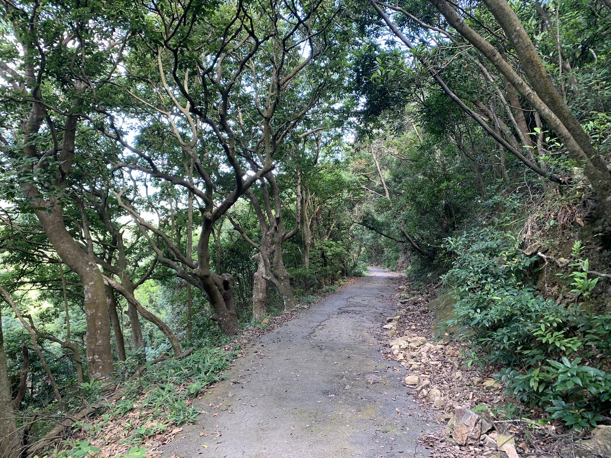 Peel Rise looks very pretty