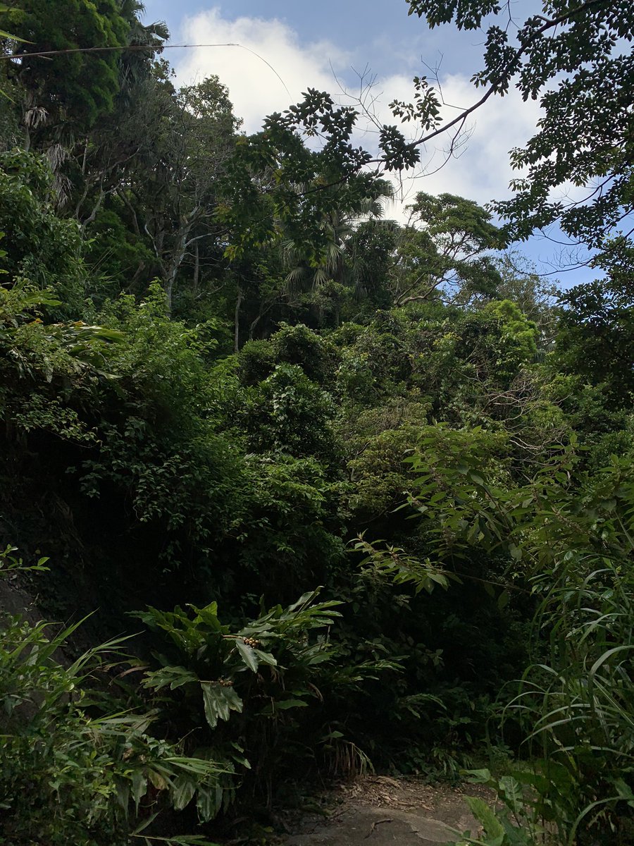 Peel Rise looks very pretty