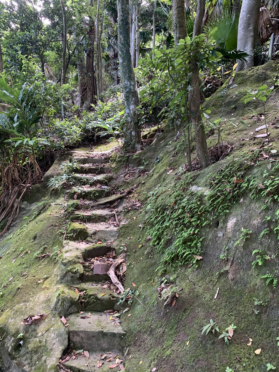 Peel Rise looks very pretty