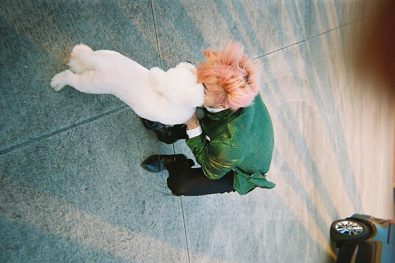 _Deeper0412's tweet photo. This is pure cuteness awww https://t.co/KDY0Wgo5pD