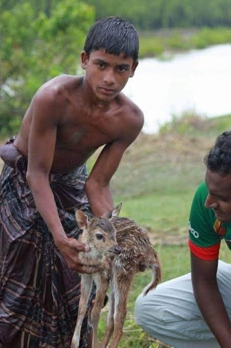 Bkrs_Rakshith's tweet photo. Real "Bahubali" of #Assam who saved a fawn from drowning. https://t.co/Wrm1Dppohk