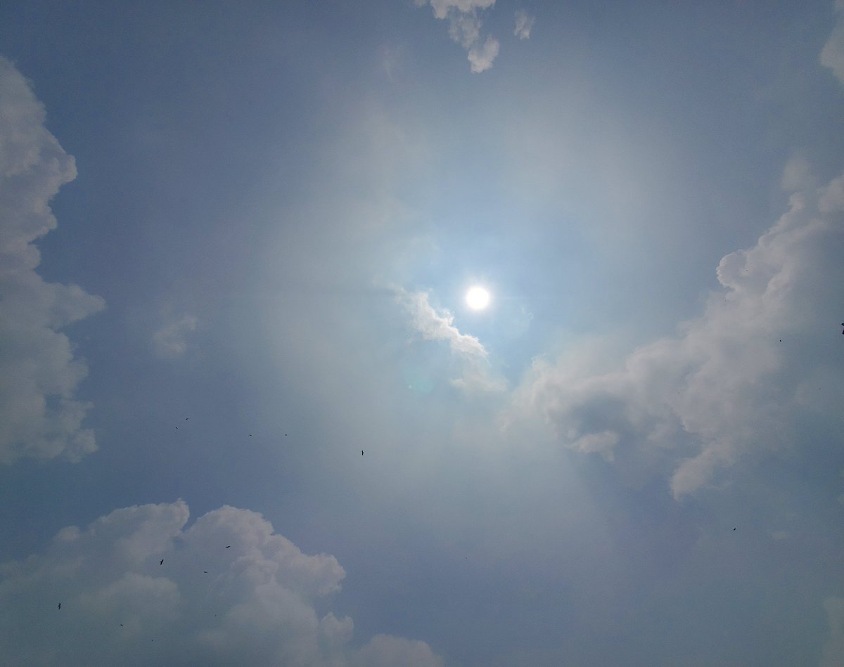khizark08's tweet photo. A cool(maybe hot) cloud observation #cloudchallenge #nasago @GLOBEProgram https://t.co/9ayOFNl8bV