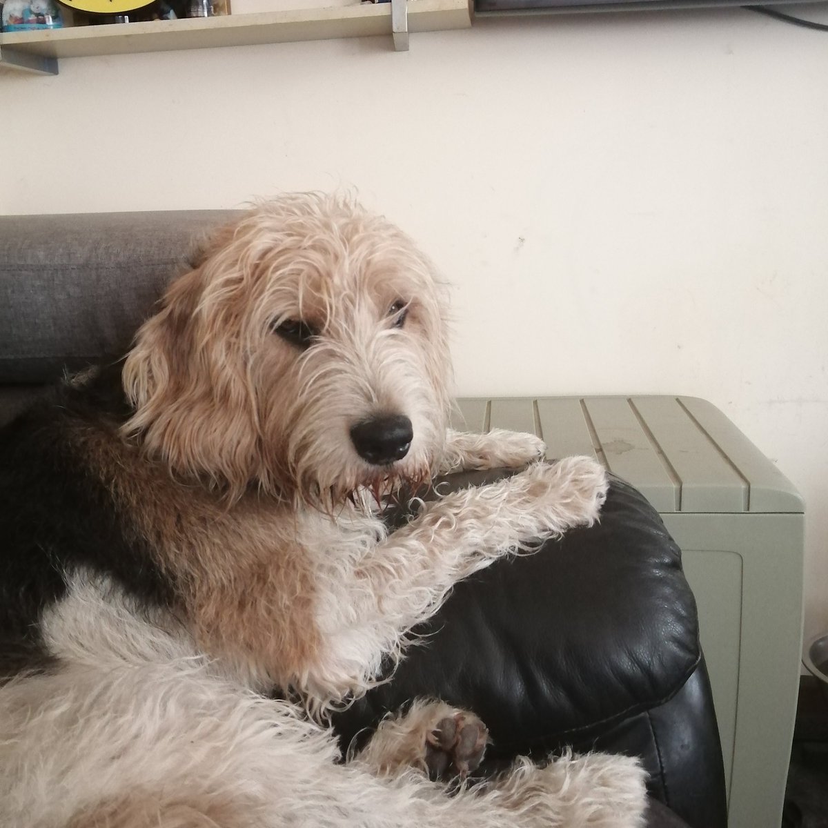 Porter94812529's tweet photo. My poor mama isn't well at all please support her for me by following and sharing I just want my mum to be well again 🙏😢 https://t.co/HXku2eB1lb