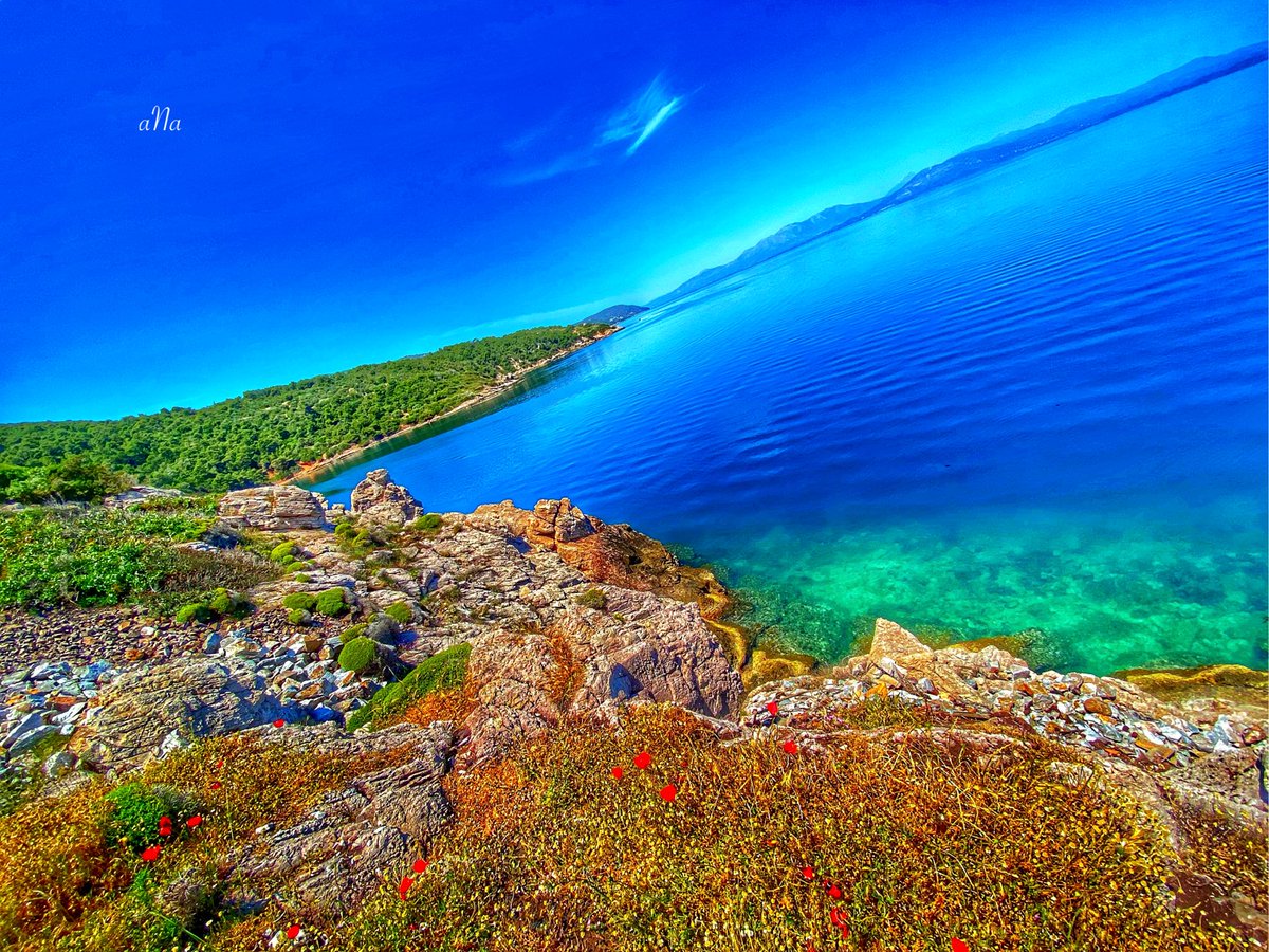 The blue club... Greece... 😎📸💙🇬🇷🇬🇷