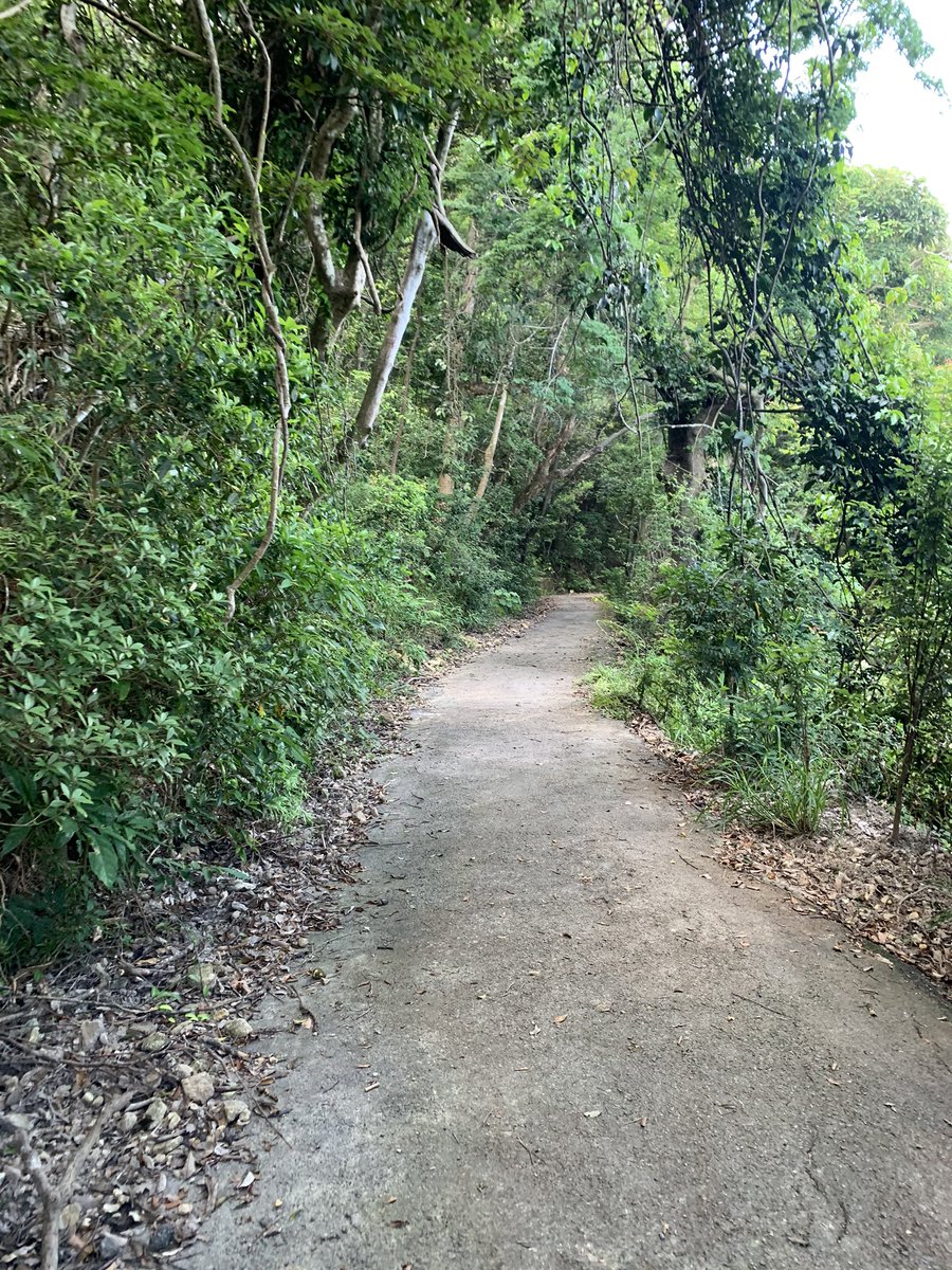 A man on his own just came walking towards me here, in the middle of nowhere. Anywhere else in the world I’d have tensed up and worried I was going to be raped and murders. But not in HK. Instead, we exchanged cheerful hellos.