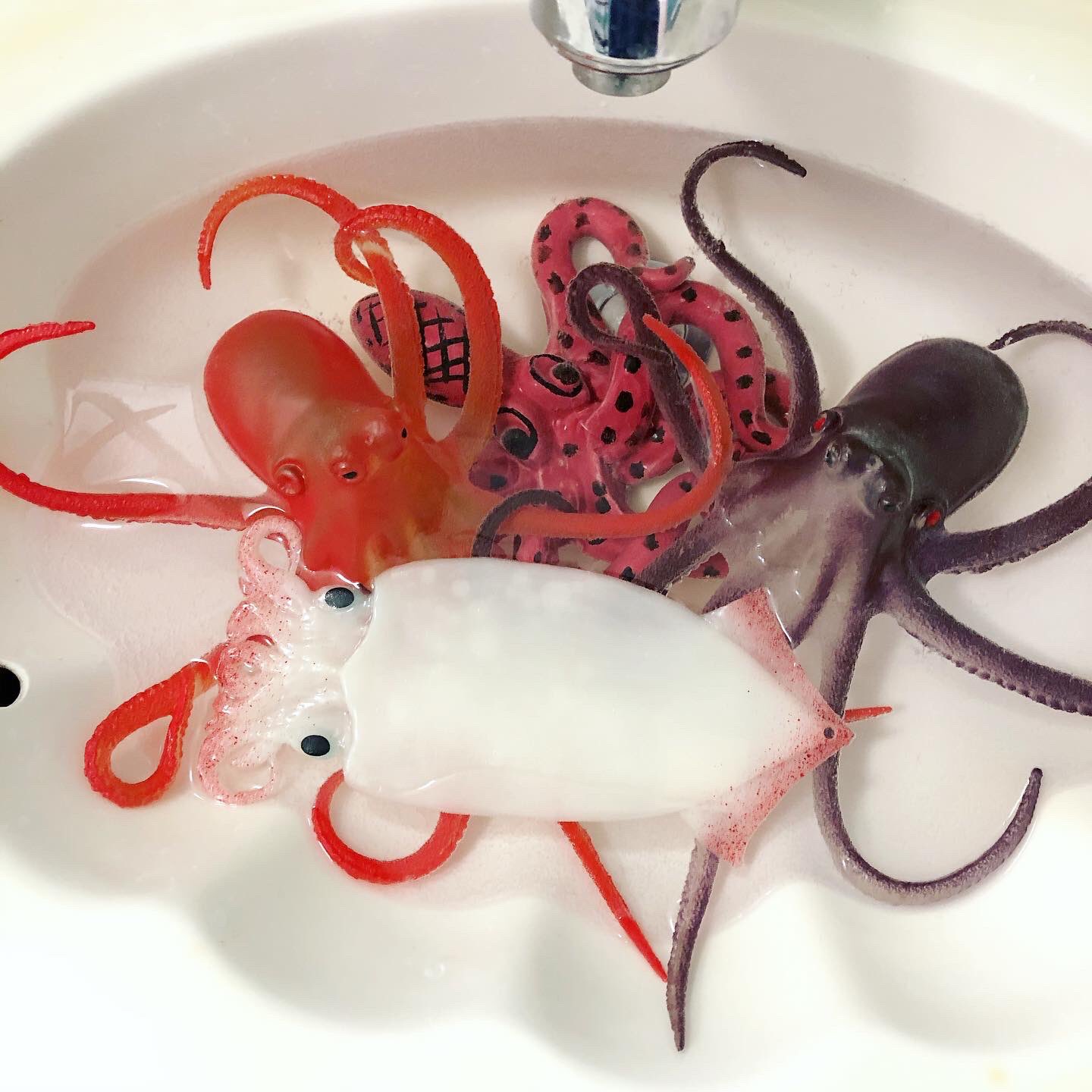 Hine Mizushima 水島ひね タコ率の高い洗われてるひとたち と イカ率の高い引越荷物 あと 昔シアトルで買った解剖牛 なんかやってもやっても物が減らない気がしてきた仕事部屋2日目 既に疲れている Moving Vancouver 引越し イカ タコ